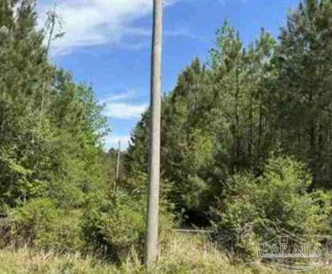 0 Horace Odom Road Millry, AL 36558 - Photo 7 of 18
