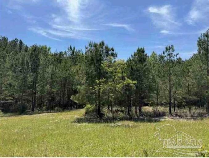 0 Horace Odom Road Millry, AL 36558 - Photo 8 of 18