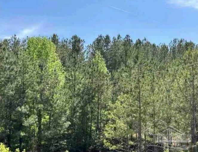 0 Horace Odom Road Millry, AL 36558 - Photo 9 of 18