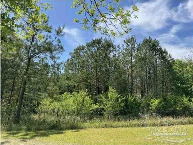 0 Horace Odom Road Millry, AL 36558 - Photo 10 of 18