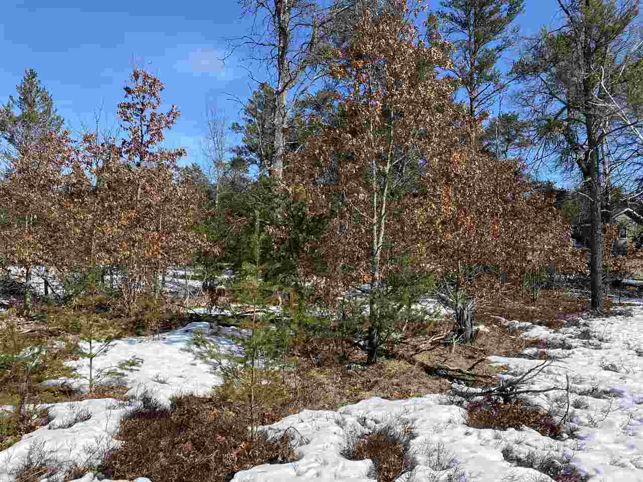 6736 Chase Bridge Road Grayling, MI 49738 - Photo 28 of 29 Gallery Image 28
