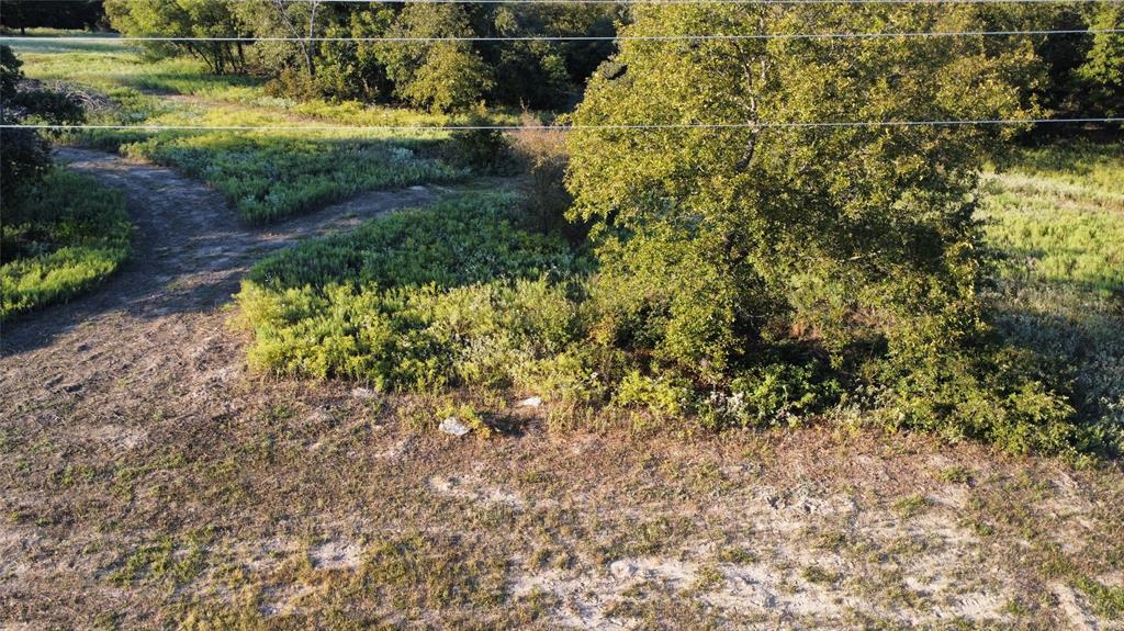 Tbd Muy Grande Road Nocona, TX 76255 - Photo 3 of 7 View of yard