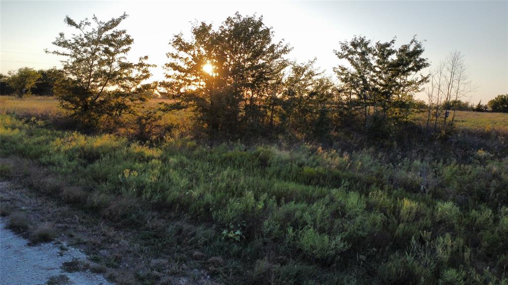 Tbd Muy Grande Road Nocona, TX 76255 - Photo 4 of 7 View of local wilderness featuring rural landscape