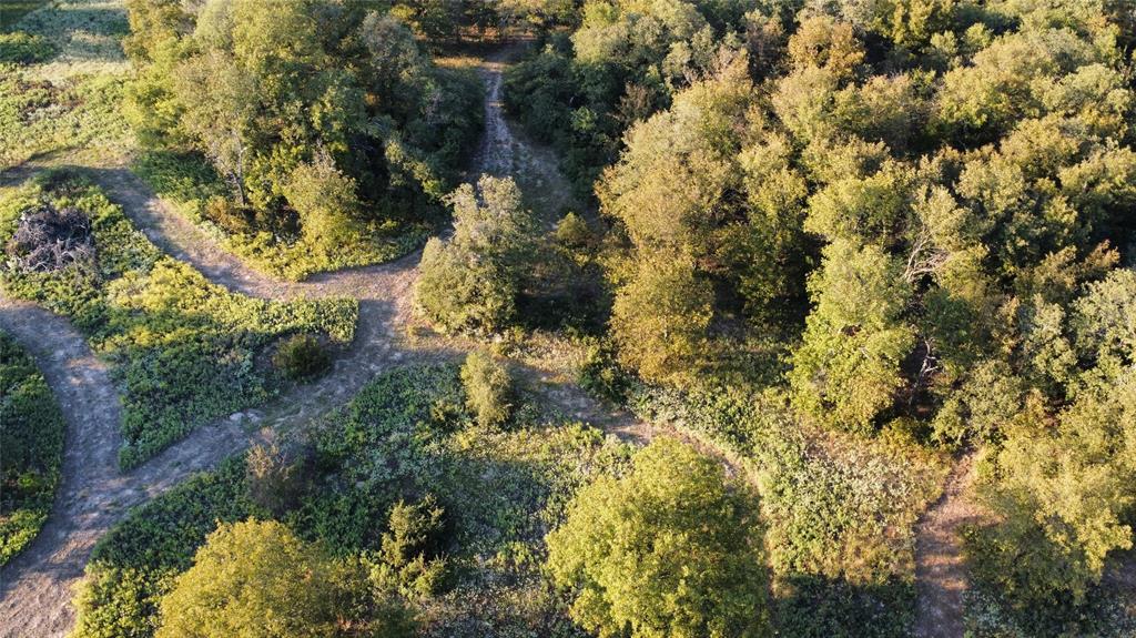 Tbd Muy Grande Road Nocona, TX 76255 - Photo 7 of 7 Aerial view