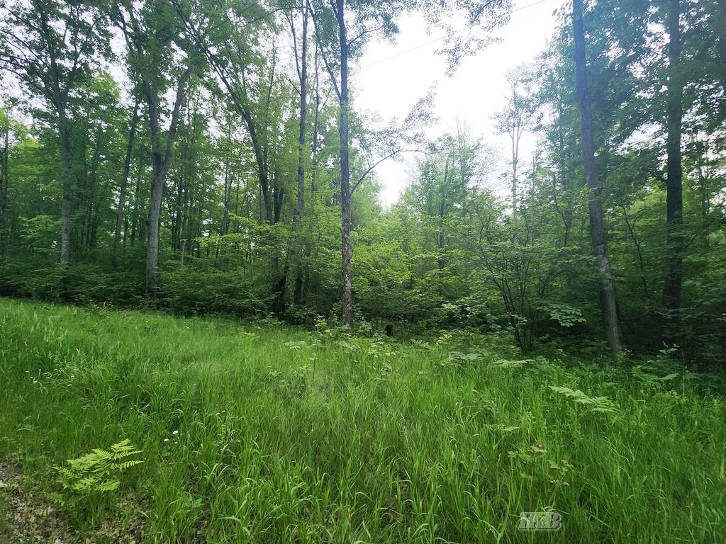 1-acre West Monroe Road Harrison, MI 48625 - Photo 5 of 22 Gallery Image 5