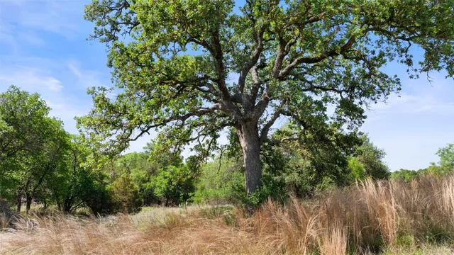 $1,835,000 | 11755 Rm 1323 St-johnson City Tx 78636, Johnson City, TX 78636