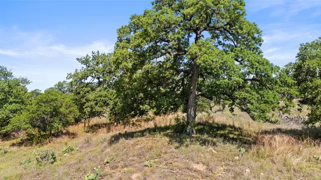 $1,835,000 | 11755 Rm 1323 St-johnson City Tx 78636, Johnson City, TX 78636