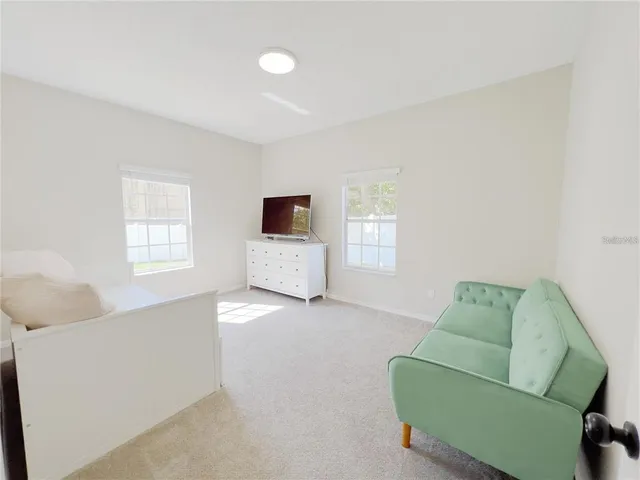 a living room with furniture and a couch