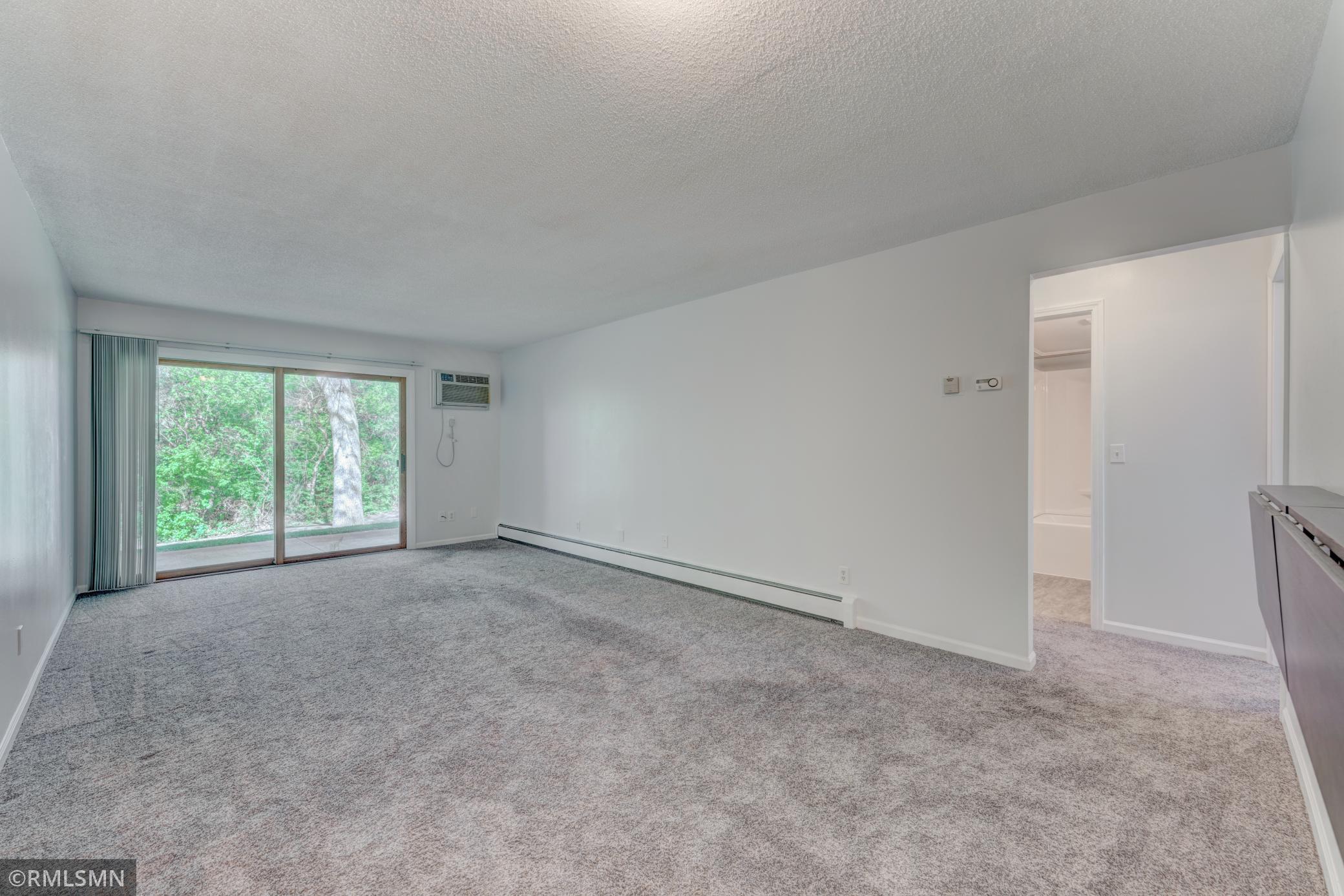 110279 Village Road, Unit 79 Chaska, MN 55318 - Photo 8 of 20 Gallery Image 8