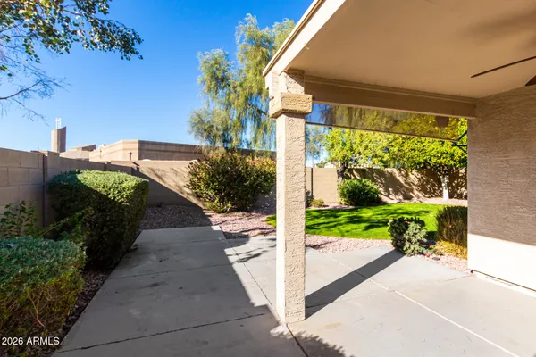 a view of a backyard with plants