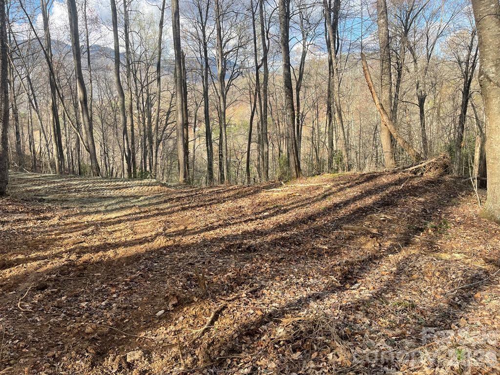 700 Copperhead Cove Road Sylva, NC 28779 - Photo 6 of 23