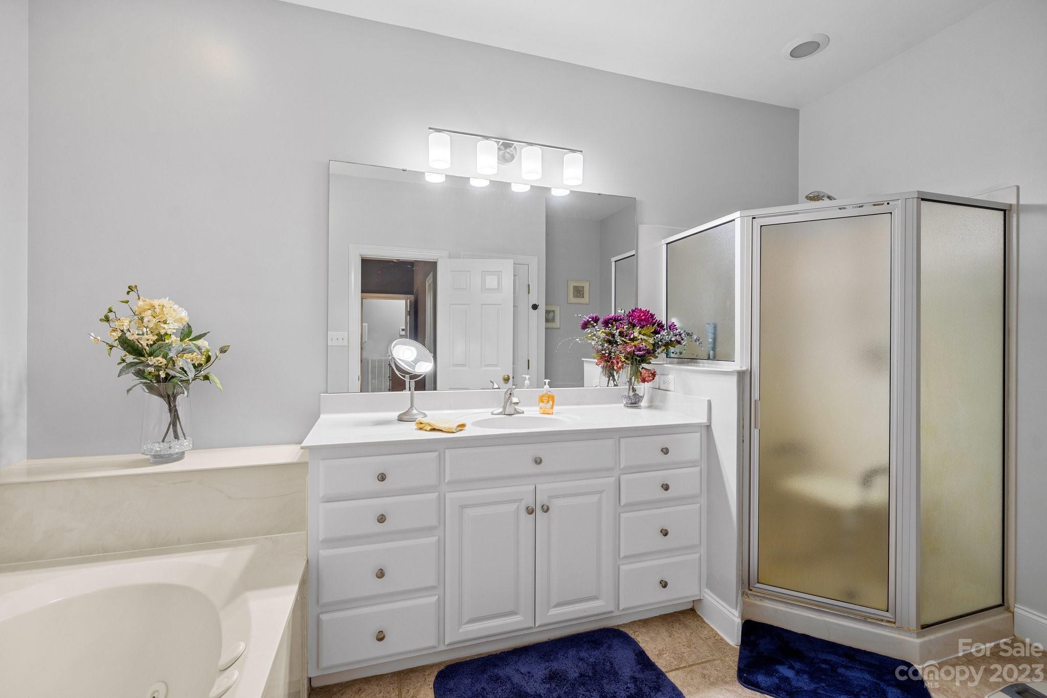 1300 Dutch Road Mount Pleasant, NC 28124 - Photo 11 of 41 a spacious bathroom with a granite countertop sink a shower and a mirror