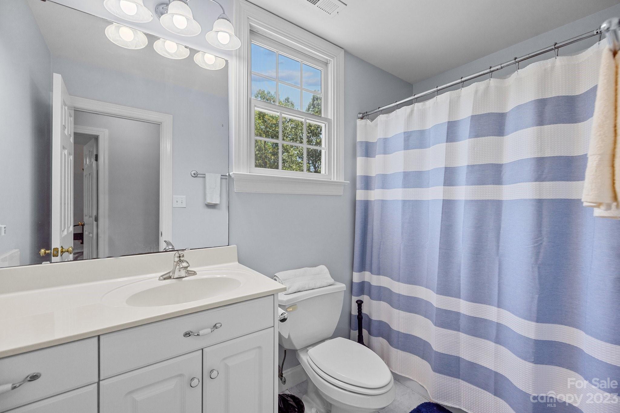 1300 Dutch Road Mount Pleasant, NC 28124 - Photo 29 of 41 a bathroom with a sink a toilet a mirror and shower curtain