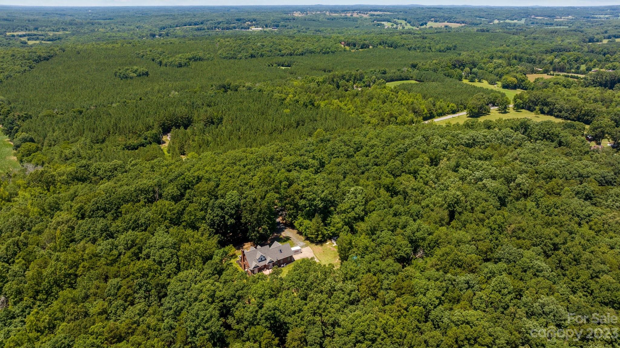 1300 Dutch Road Mount Pleasant, NC 28124 - Photo 39 of 41 a view of a lush green forest with trees and houses