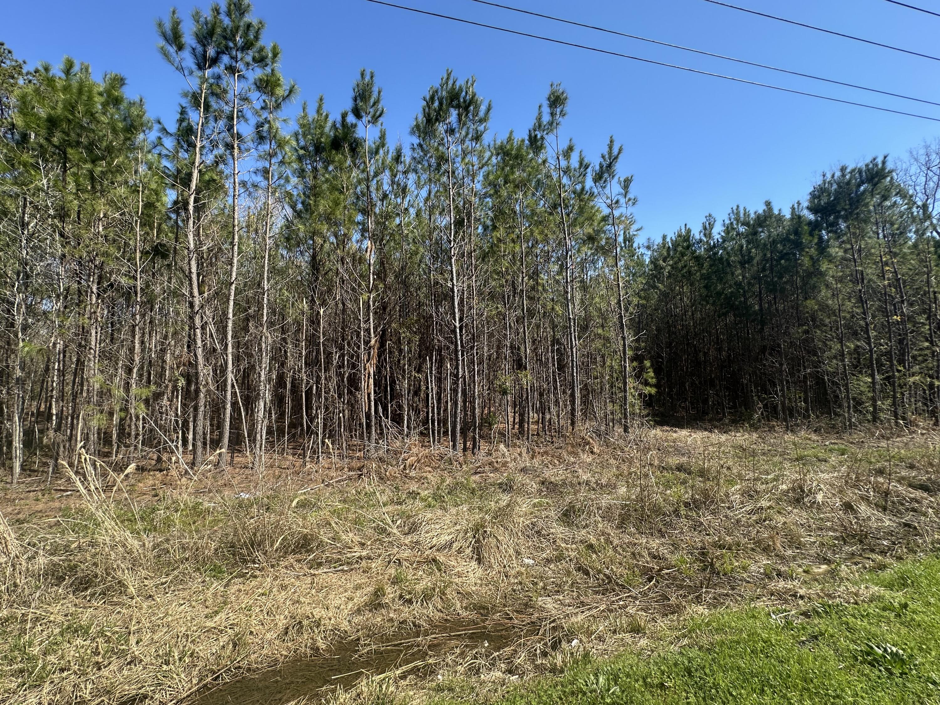 1726 Highway 61 Ridgeville, SC 29472 - Photo 2 of 3 IMG_2319