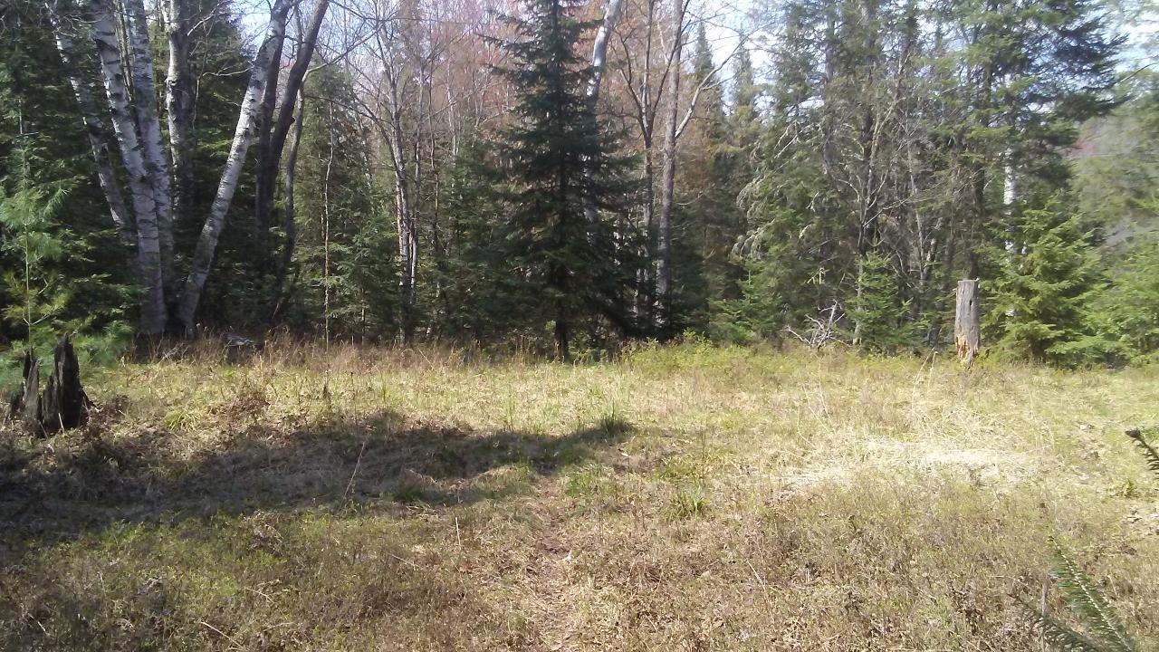 On River Road, Unit LOT 4 Eagle River, WI 54521 - Photo 6 of 9 Gallery Image 6