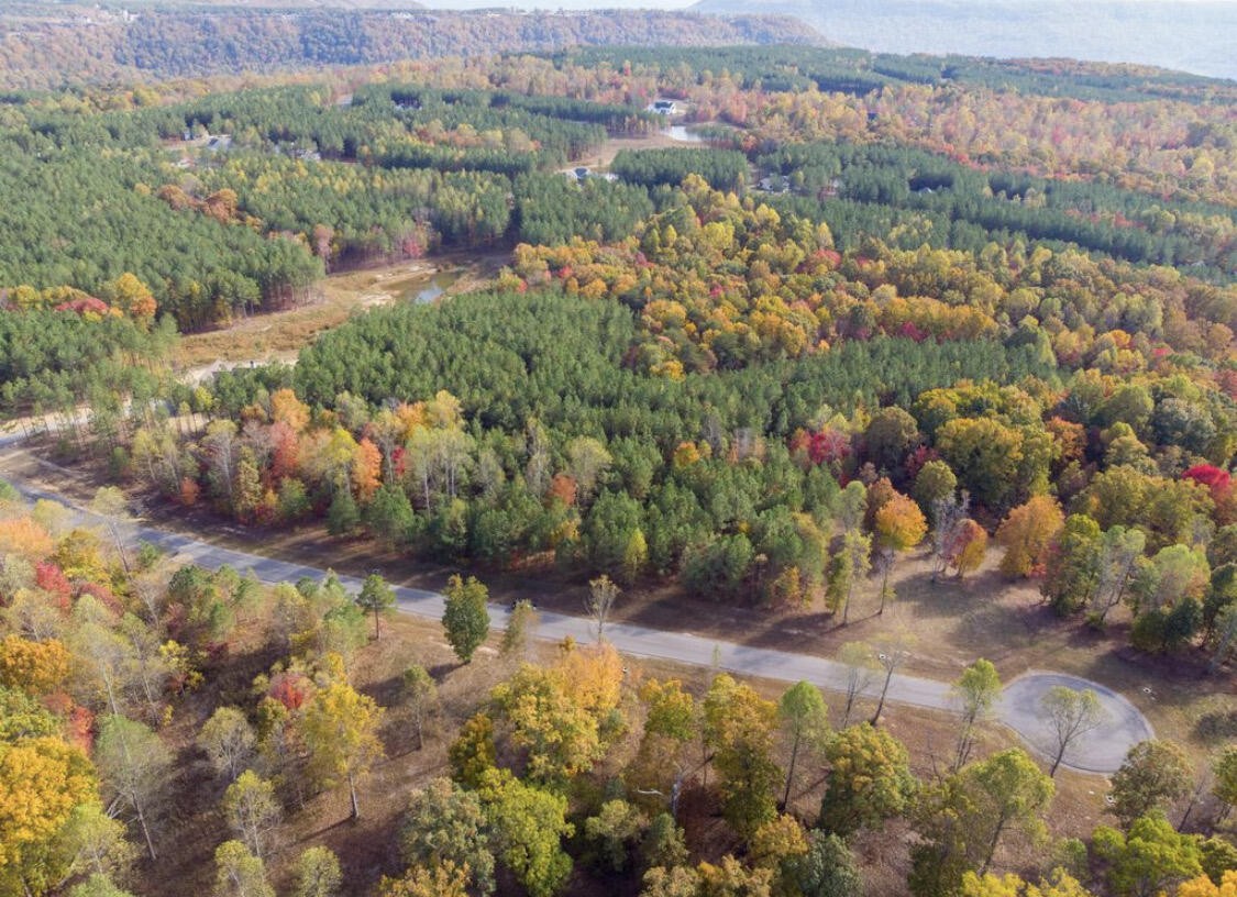 390 Volunteer Street Jasper, TN 37347 - Photo 17 of 37 a view of lake