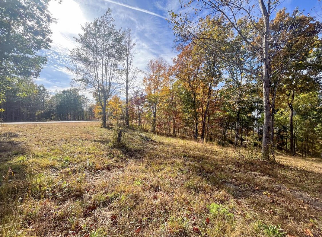 390 Volunteer Street Jasper, TN 37347 - Photo 20 of 37 a backyard of a house