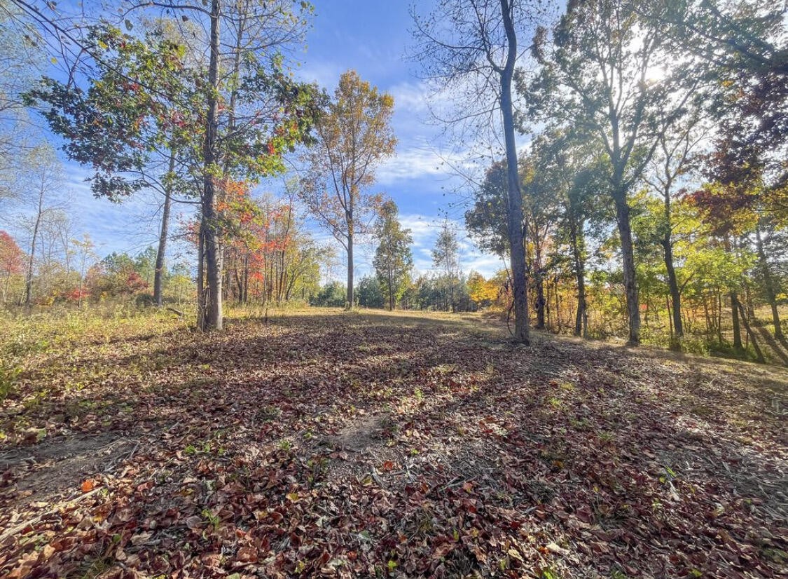 390 Volunteer Street Jasper, TN 37347 - Photo 21 of 37 a view of dirt yard with a large tree