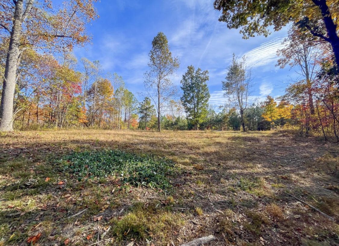 390 Volunteer Street Jasper, TN 37347 - Photo 23 of 37 a view of dirt yard with a large tree