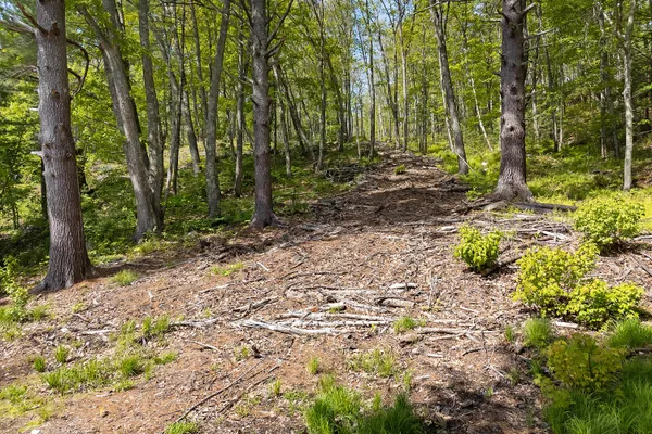 $650,000 | 0 High Street, Bath, ME 04530