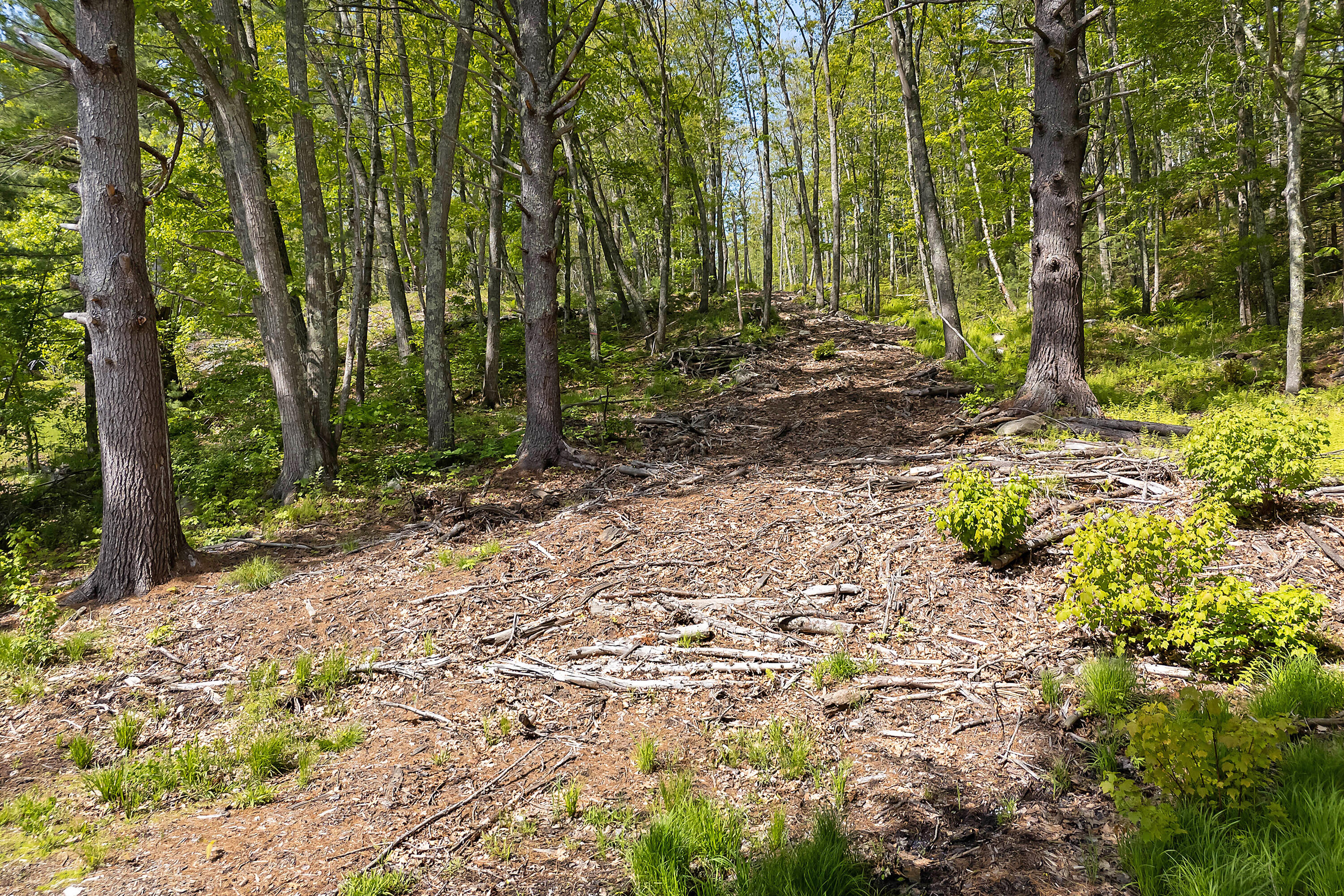 0 High Street Bath, ME 04530 - Photo 13 of 17 0 High Street_101