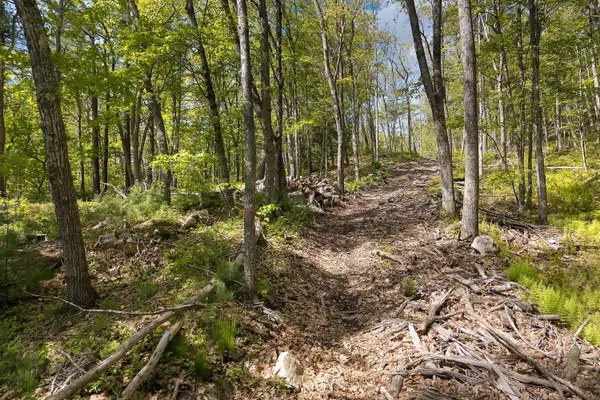 $650,000 | 0 High Street, Bath, ME 04530