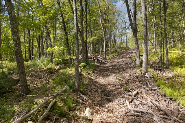 $650,000 | 0 High Street, Bath, ME 04530