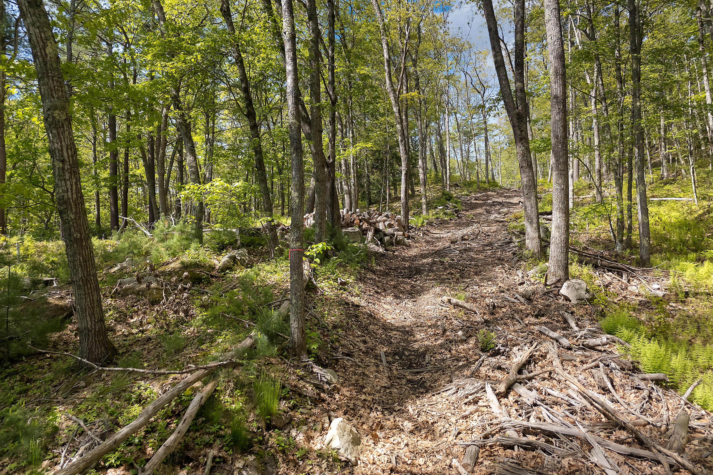 0 High Street Bath, ME 04530 - Photo 14 of 17 0 High Street_102