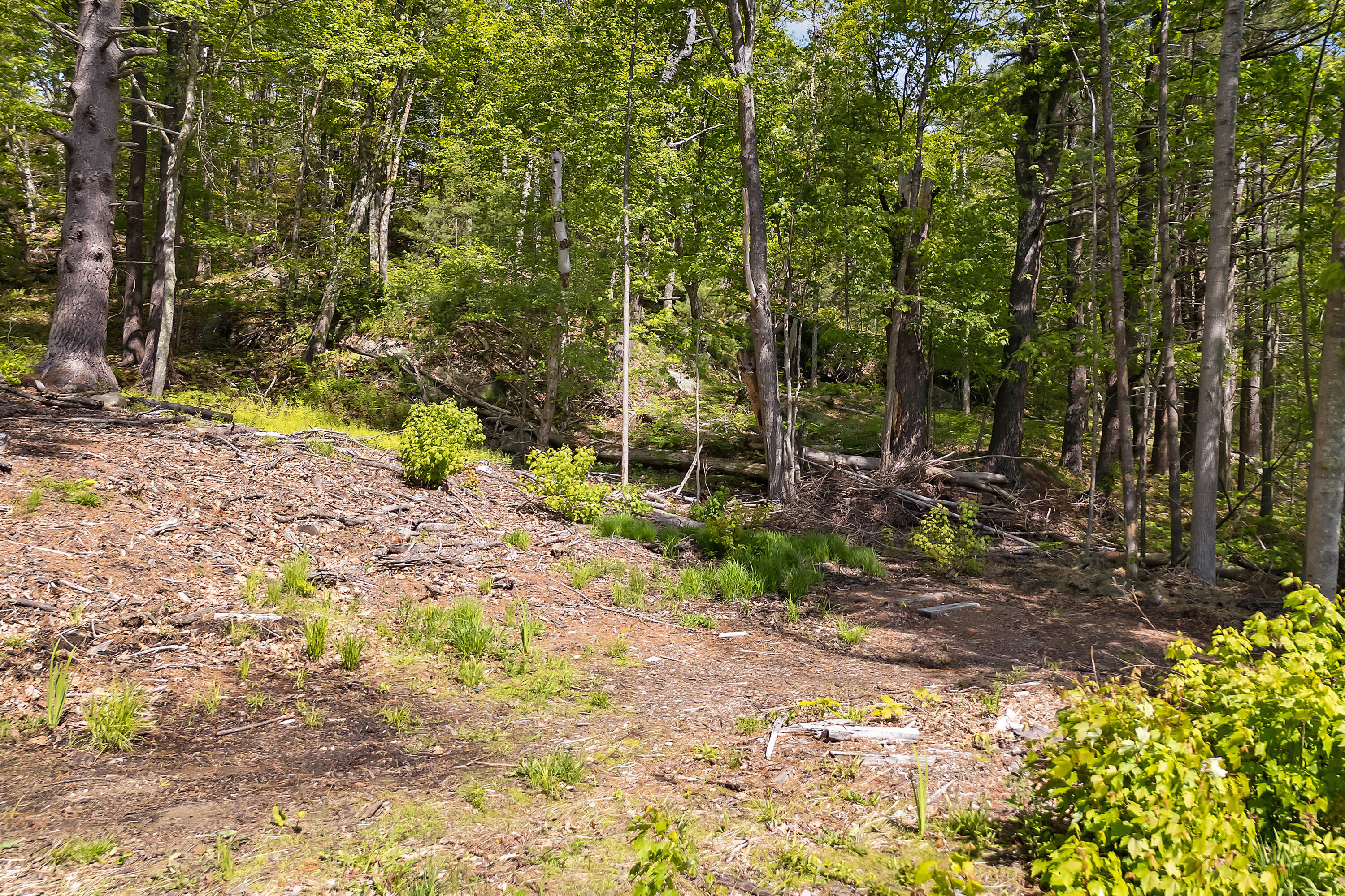 0 High Street Bath, ME 04530 - Photo 15 of 17 0 High Street_105