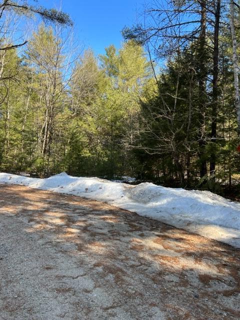Lot 22 Big Woods Road Harrison, ME 04040 - Photo 2 of 2 IMG_0958