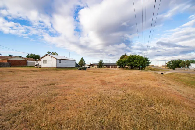 a view of a yard with an trees