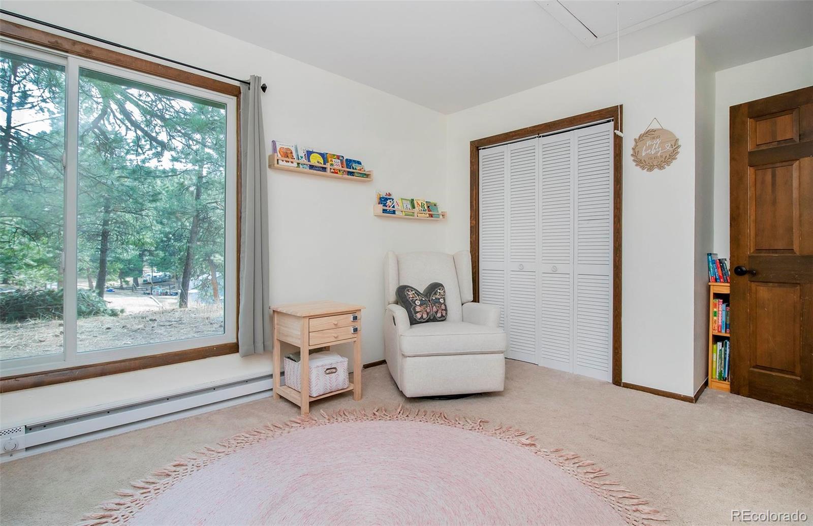 27225 Mountain Park Road Evergreen, CO 80439 - Photo 38 of 46