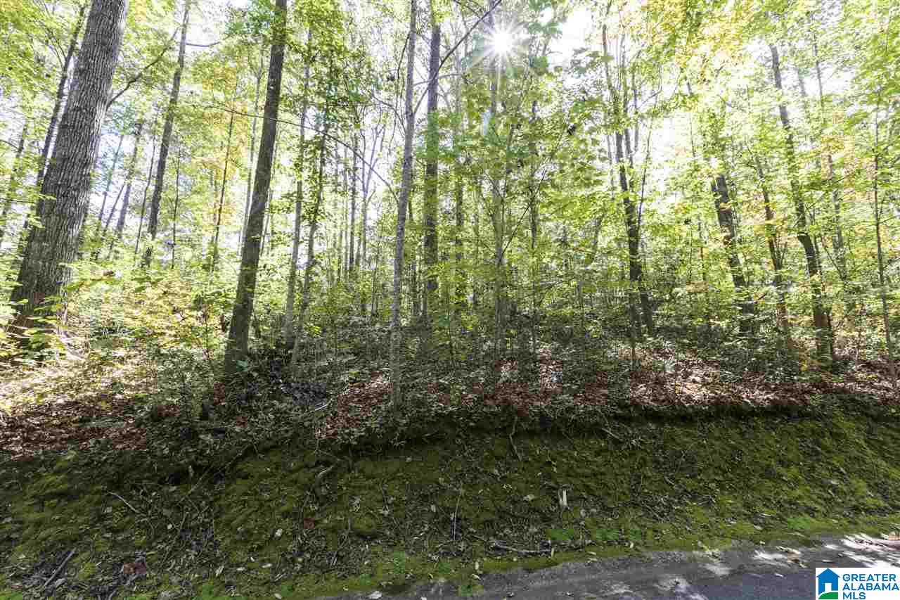 4 South Hollow Road, Unit 4 Hayden, AL 35079 - Photo 11 of 34