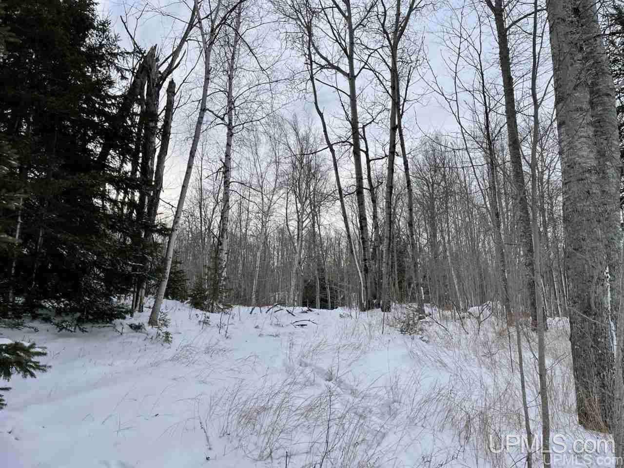 Tbd 2nd Sand Beach Road Lanse, MI 49946 - Photo 8 of 8