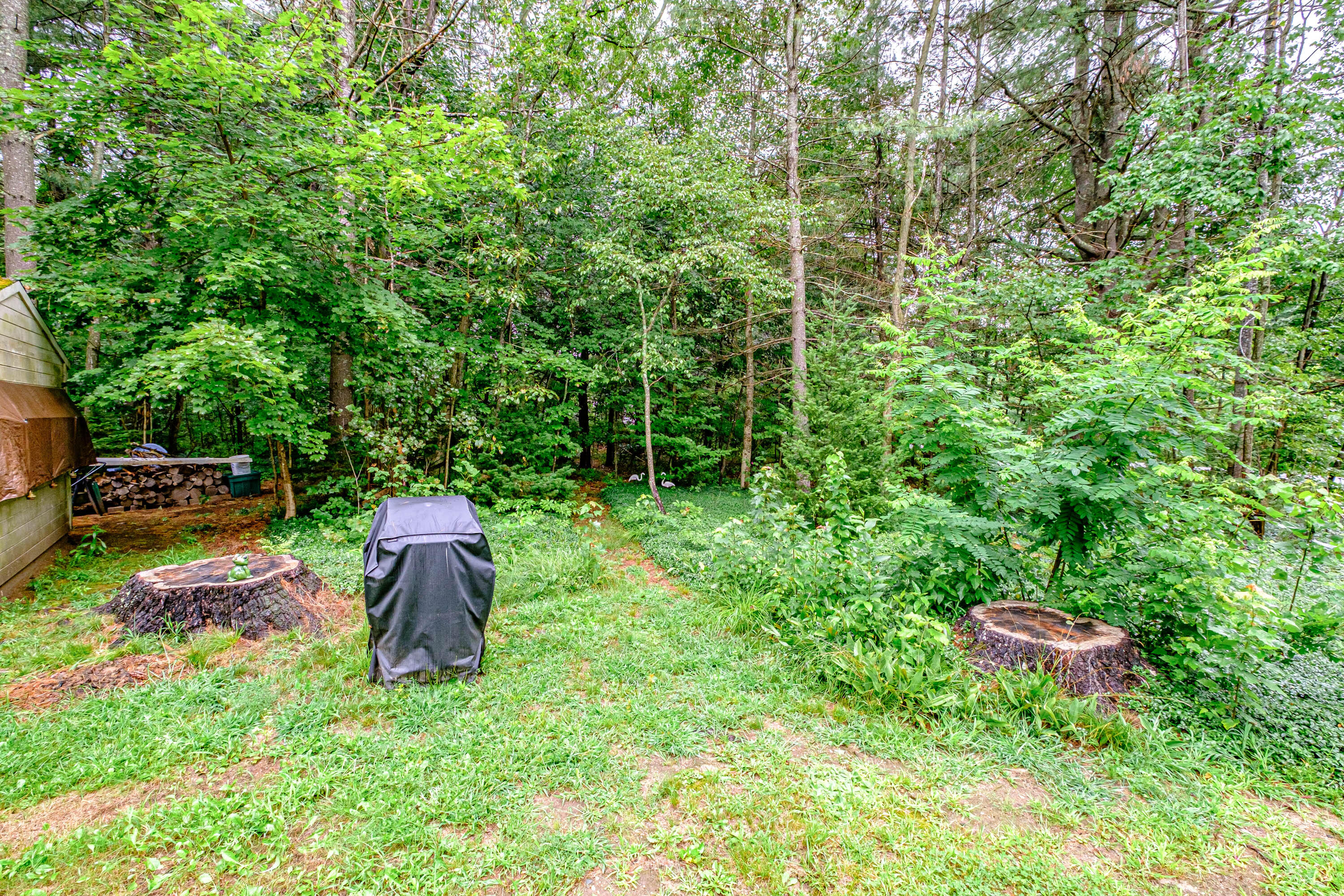 219 Wakefield Road Hollis Center, ME 04042 - Photo 51 of 53 20230815gp-61052