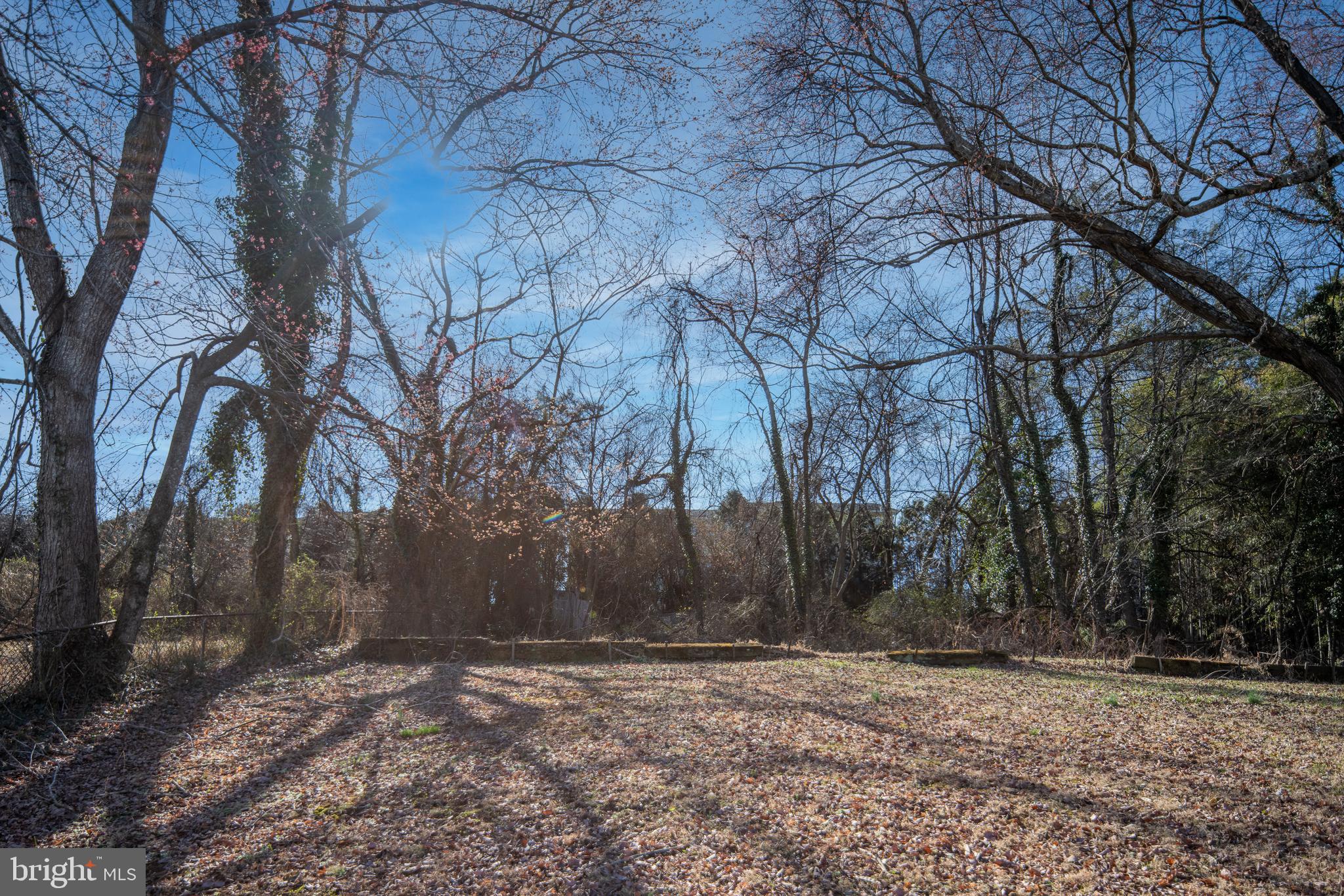 246 Berry Street Orange, VA 22960 - Photo 43 of 46 a view of a yard with trees