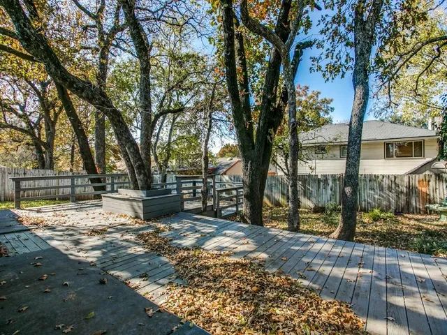 a view of a yard with trees