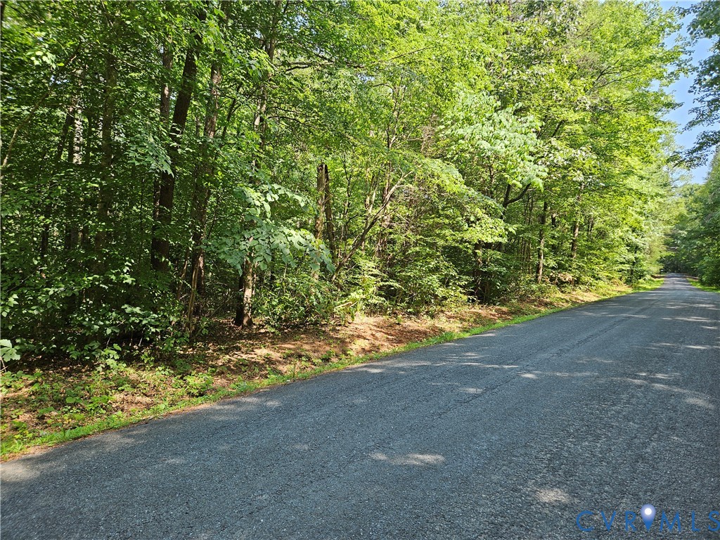 9-ac Childress Road Dillwyn, VA 23936 - Photo 1 of 8