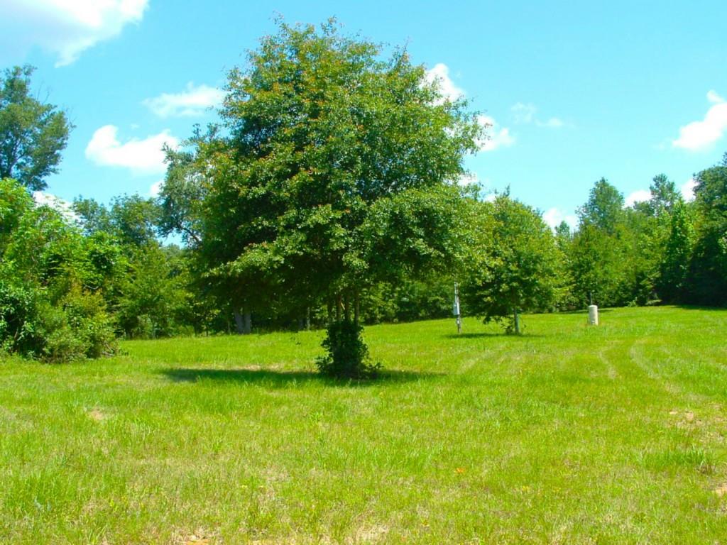 60198 Smiling Acrs Road Amite, LA 70422 - Photo 1 of 20