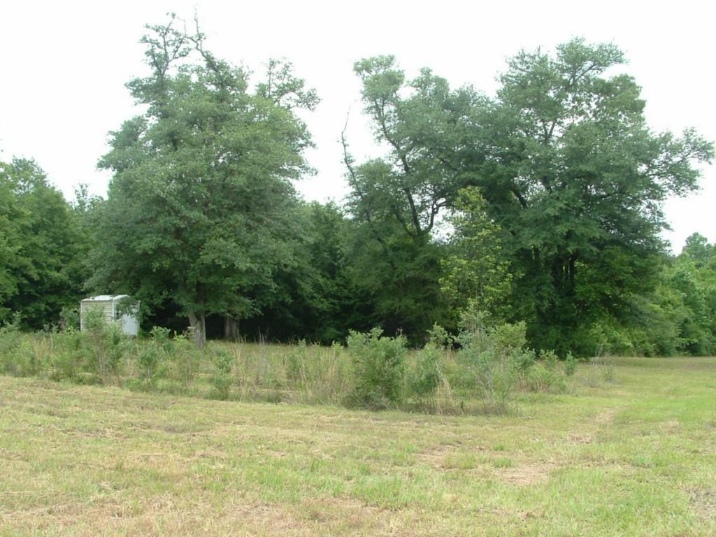 60198 Smiling Acrs Road Amite, LA 70422 - Photo 13 of 20