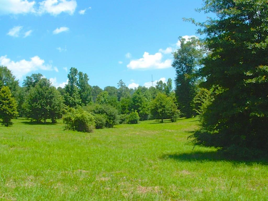 60198 Smiling Acrs Road Amite, LA 70422 - Photo 16 of 20