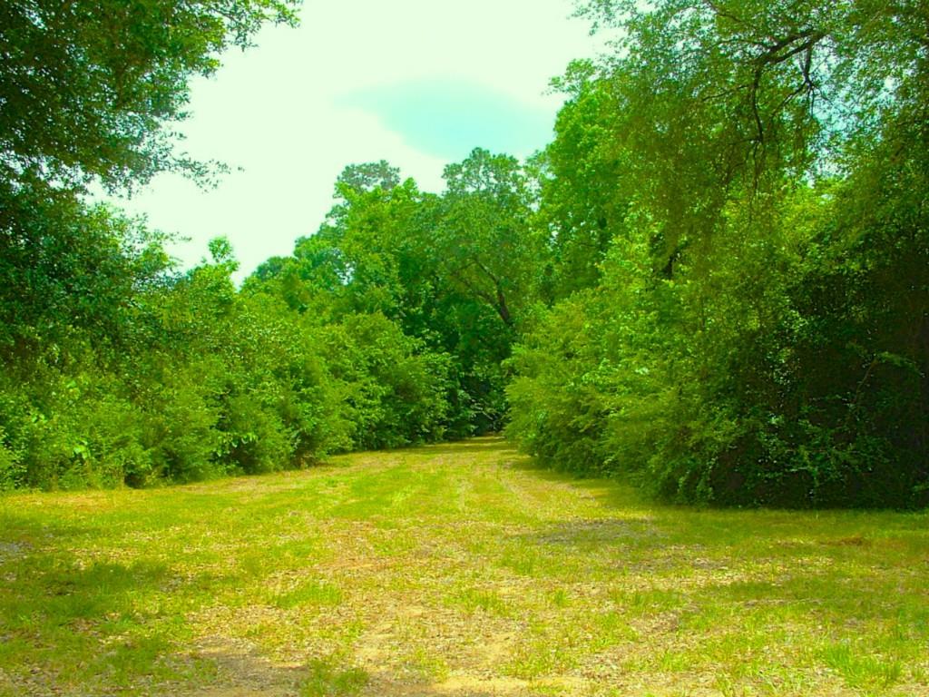 60198 Smiling Acrs Road Amite, LA 70422 - Photo 17 of 20
