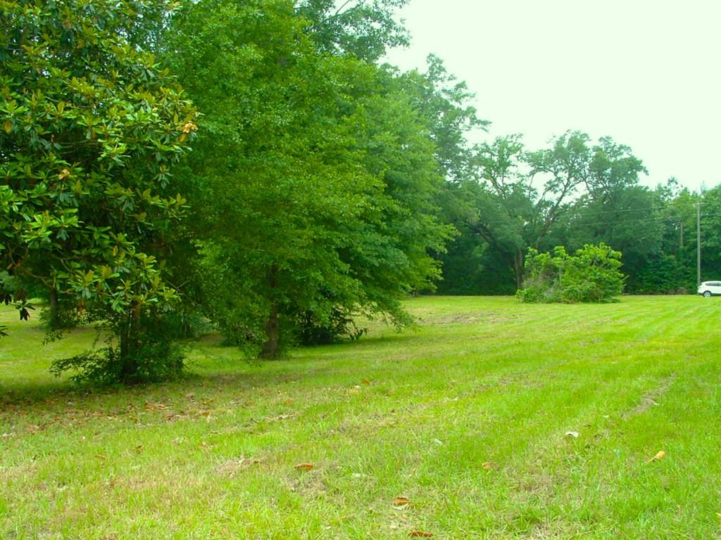 60198 Smiling Acrs Road Amite, LA 70422 - Photo 18 of 20