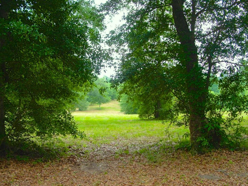 60198 Smiling Acrs Road Amite, LA 70422 - Photo 19 of 20