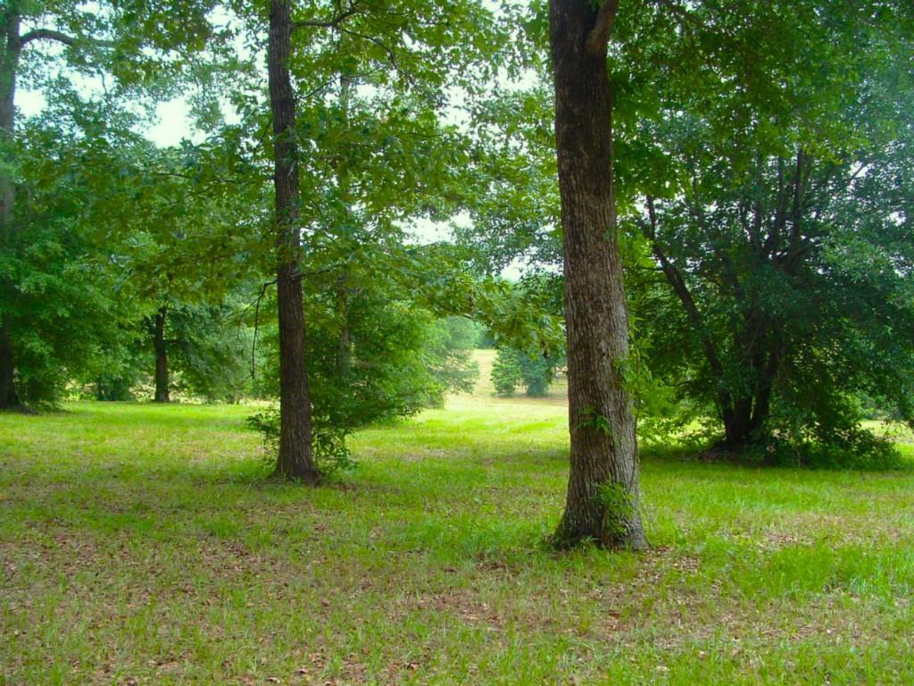 60198 Smiling Acrs Road Amite, LA 70422 - Photo 20 of 20