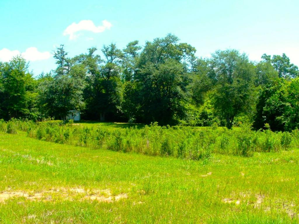 60198 Smiling Acrs Road Amite, LA 70422 - Photo 2 of 20