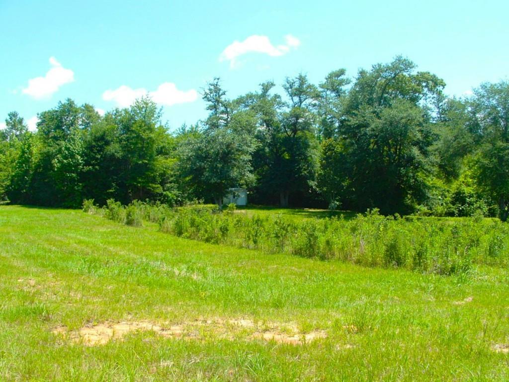 60198 Smiling Acrs Road Amite, LA 70422 - Photo 3 of 20