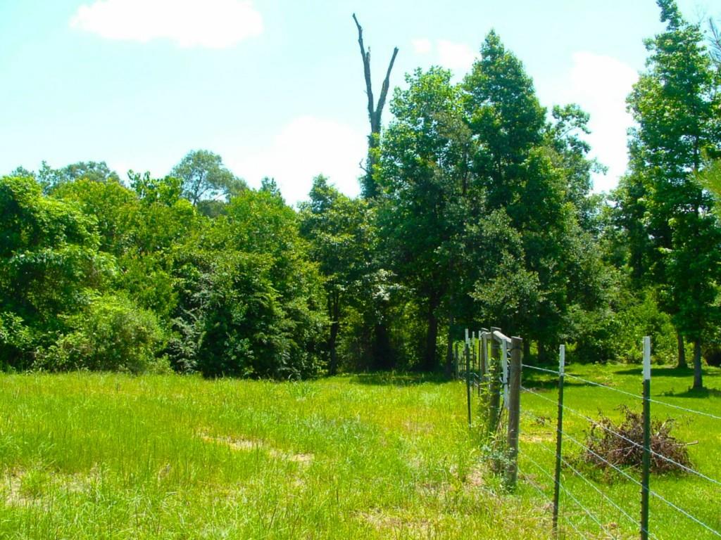 60198 Smiling Acrs Road Amite, LA 70422 - Photo 5 of 20