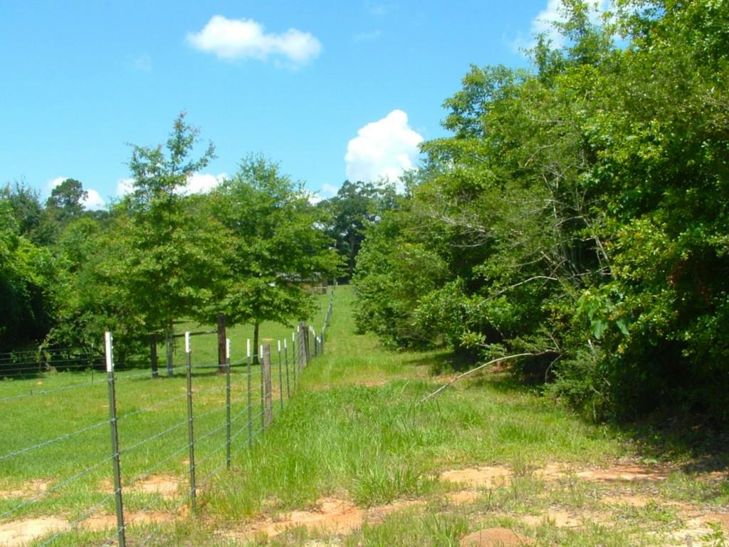 60198 Smiling Acrs Road Amite, LA 70422 - Photo 6 of 20